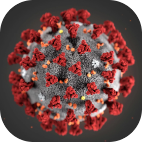 Информация о коронавирусе (COVID-19): что нужно знать